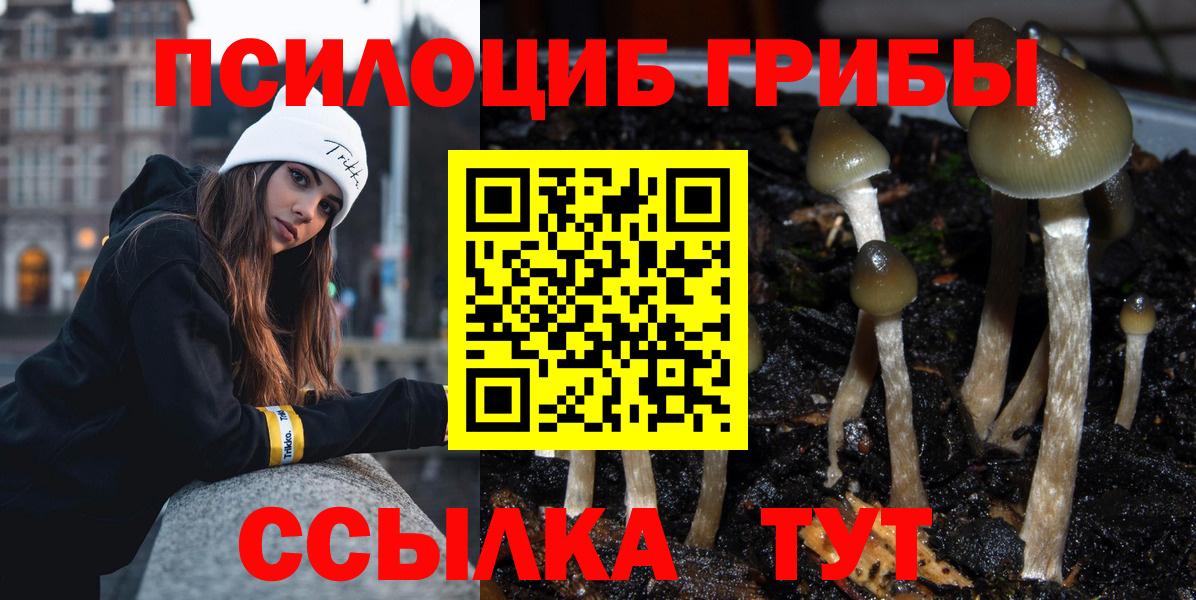 Галлюциногенные грибы MAGIC MUSHROOMS  Вход с VPN  Псилоцибиновые грибы Magic Shrooms  Нурлат 